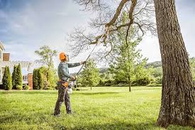 Trusted Tillmans Corner, AL  Tree Services Experts